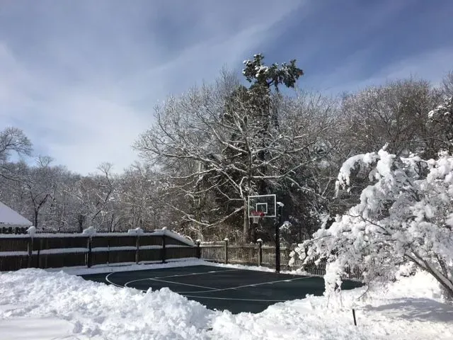 A dark basketball court surrounded by trees and a fence covered in snow under a blue sky.