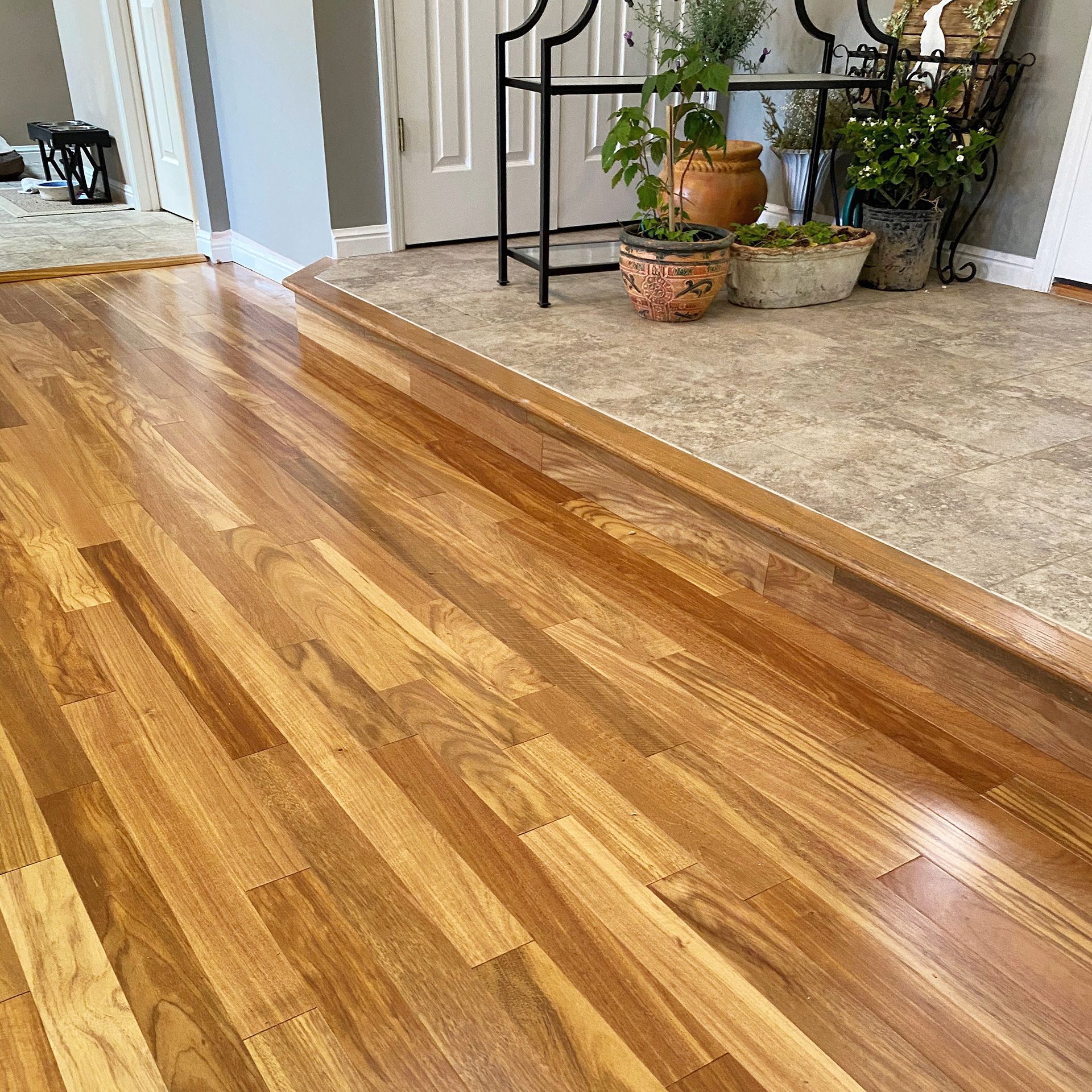A wooden floor next to a tiled floor with potted plants on it