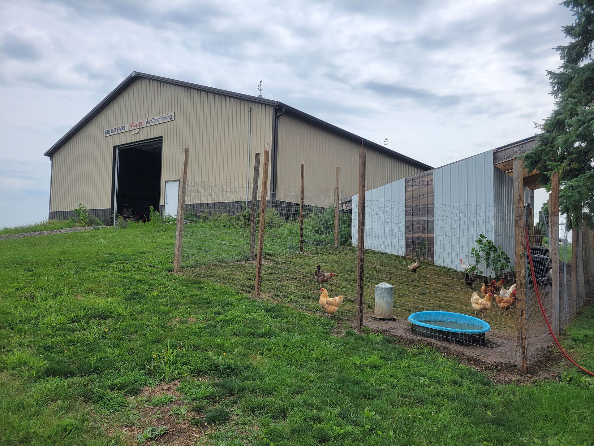 Chickens near a barn with a pen, on a grassy hill, cloudy sky.
