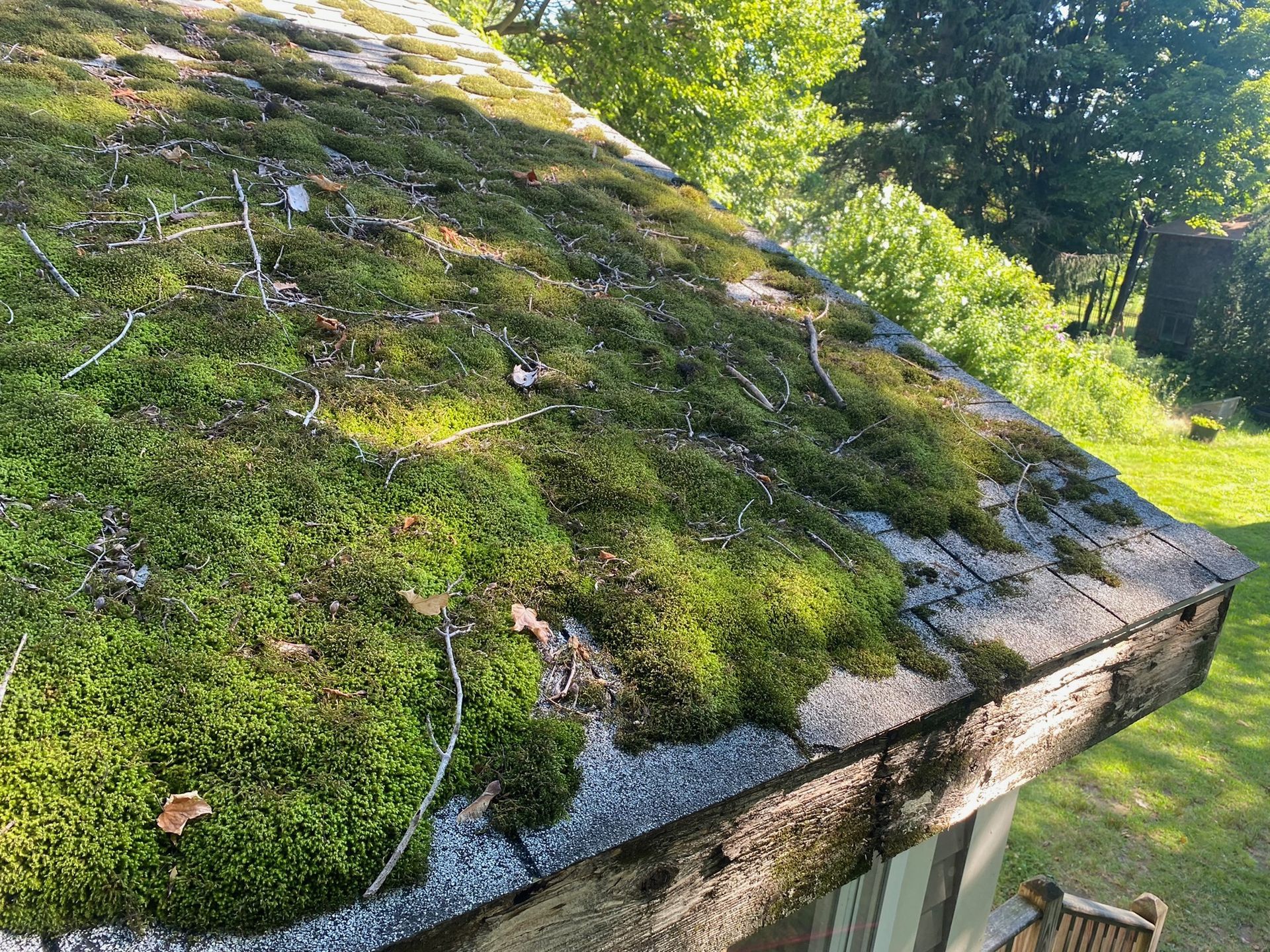 before roofing cleaning