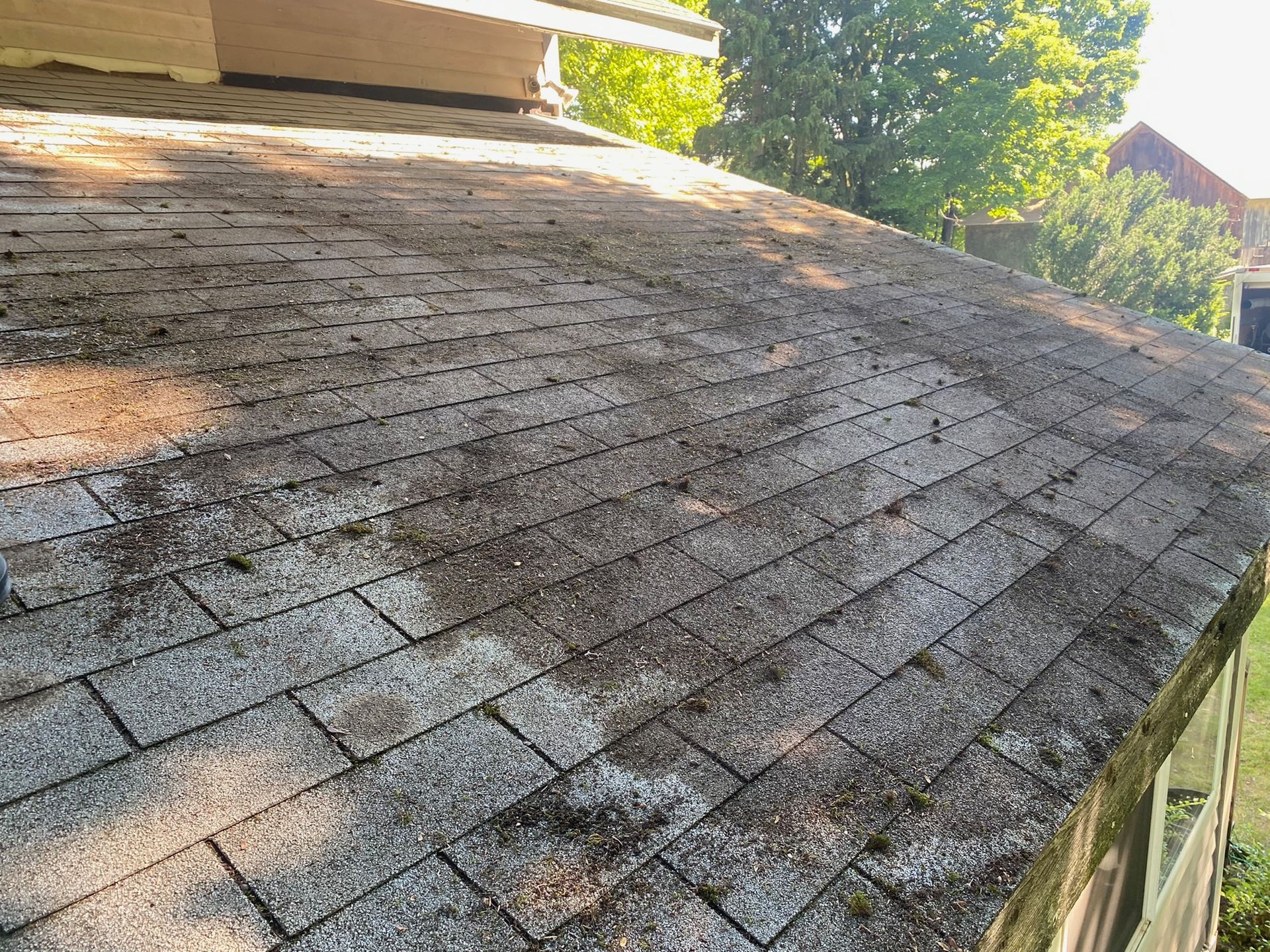 before roofing cleaning