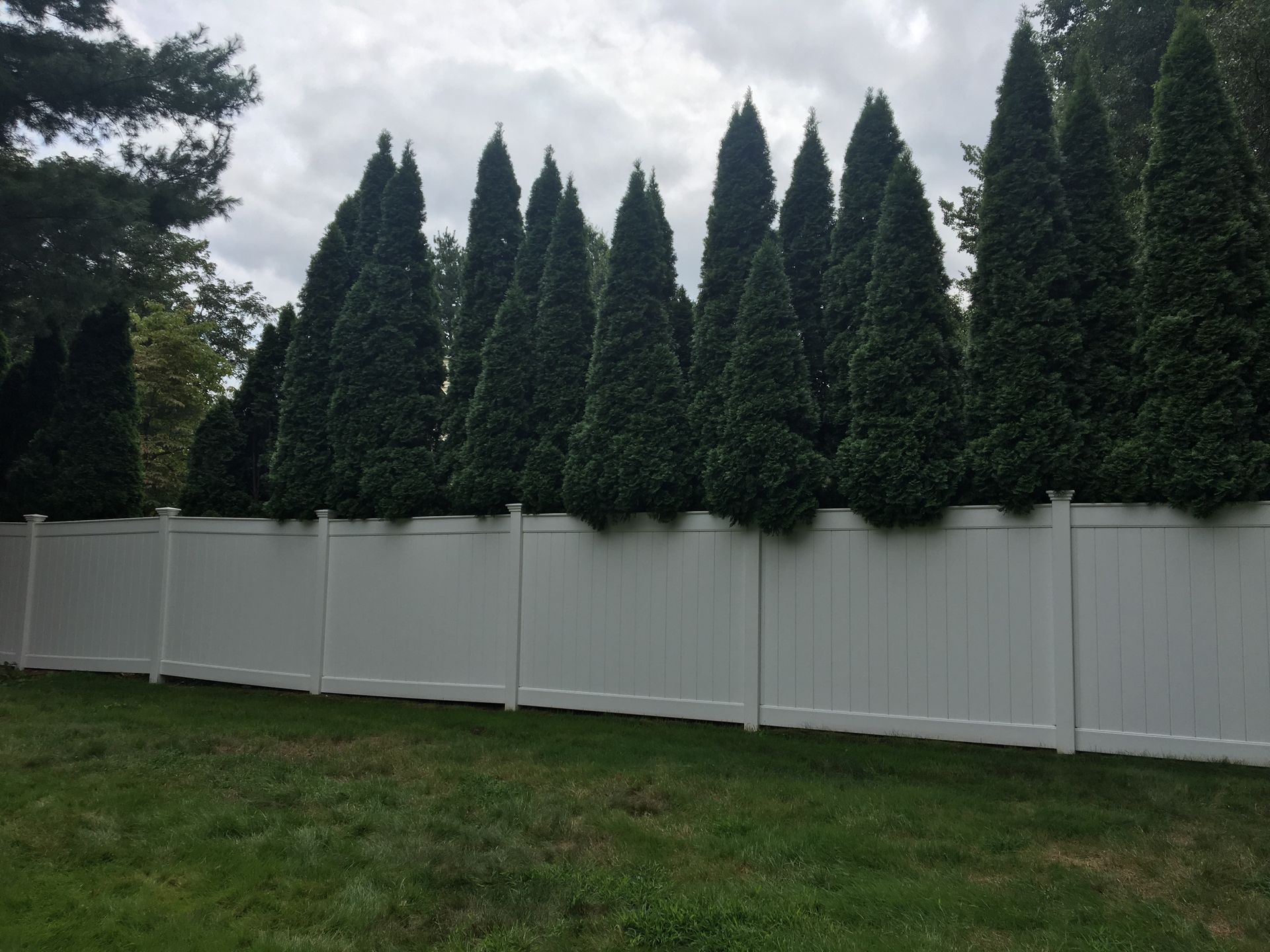 cleaned fence