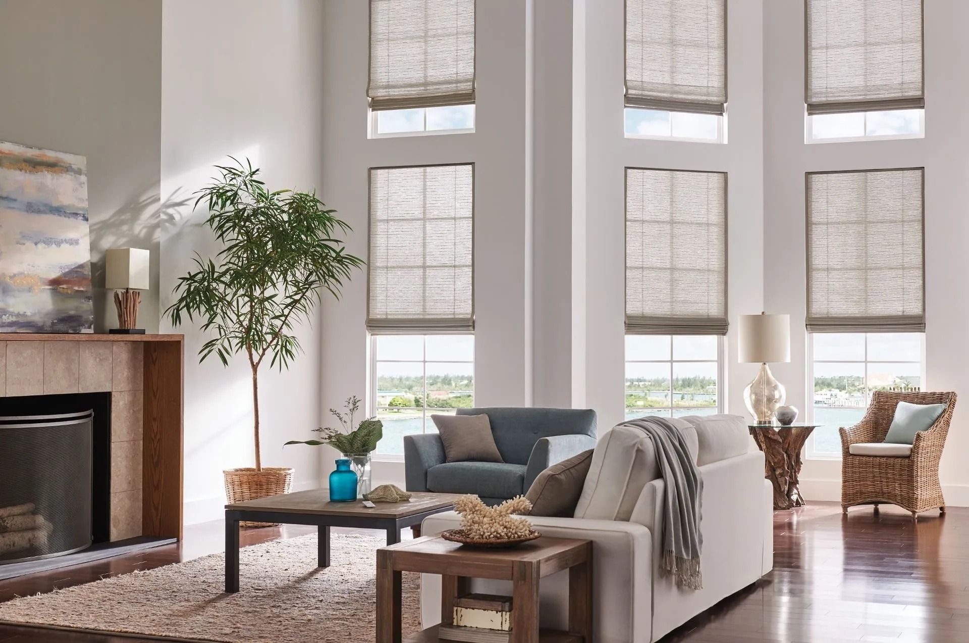 A living room with light walls, a fireplace, furniture, tall windows with woven shades, and a large indoor plant.