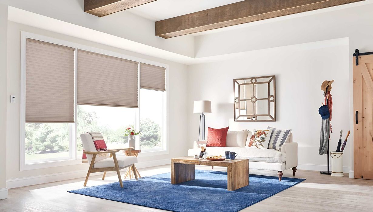 A bright living room featuring a blue area rug, a white sofa, a wood coffee table, and windows with neutral cellular shades.
