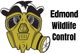 Edmond Wildlife Control logo