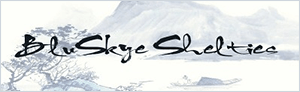 Bluskye Shelties - logo