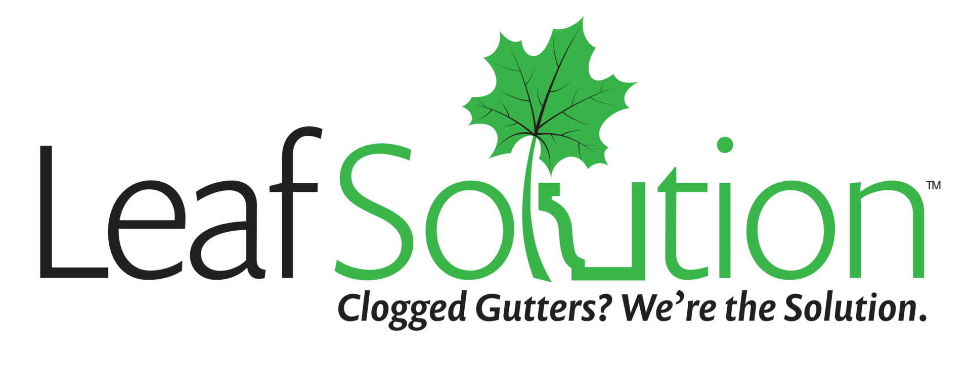 Professional Roofing Contractors Basswood Roofing LLC