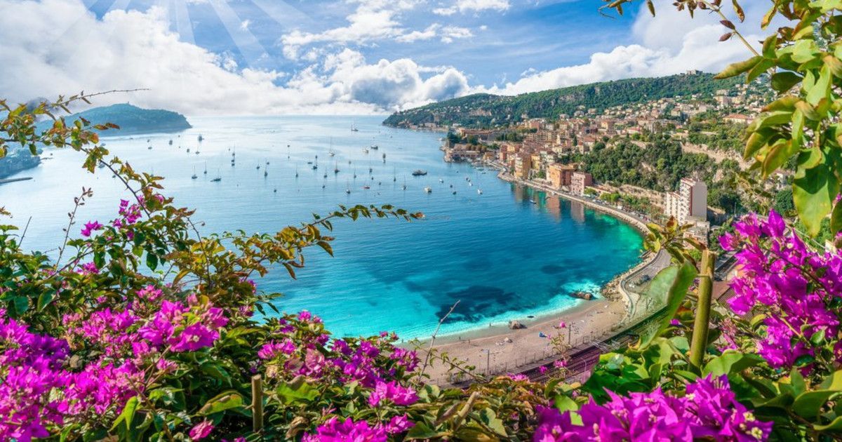 Colorful coastal bay with turquoise water, boats, seaside city buildings, and bright pink flowers in the foreground