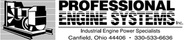 Professional Engine Systems Inc - logo