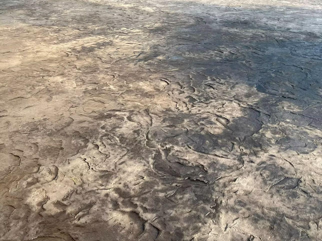 Uneven, light-brown ground with patches of dark, crusty soil and small mounds, appearing like arid or eroded earth.