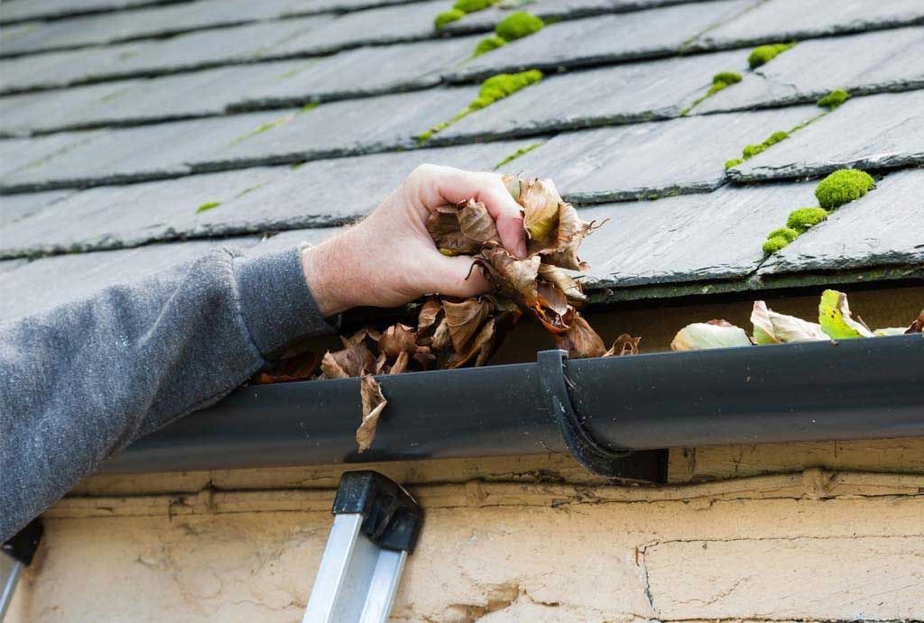 Hand reaching into a black gutter filled with leaves, near a brick wall and a roof covered in moss.