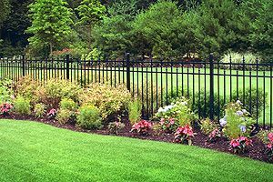 A black fence surrounds a lush green field with flowers and bushes.
