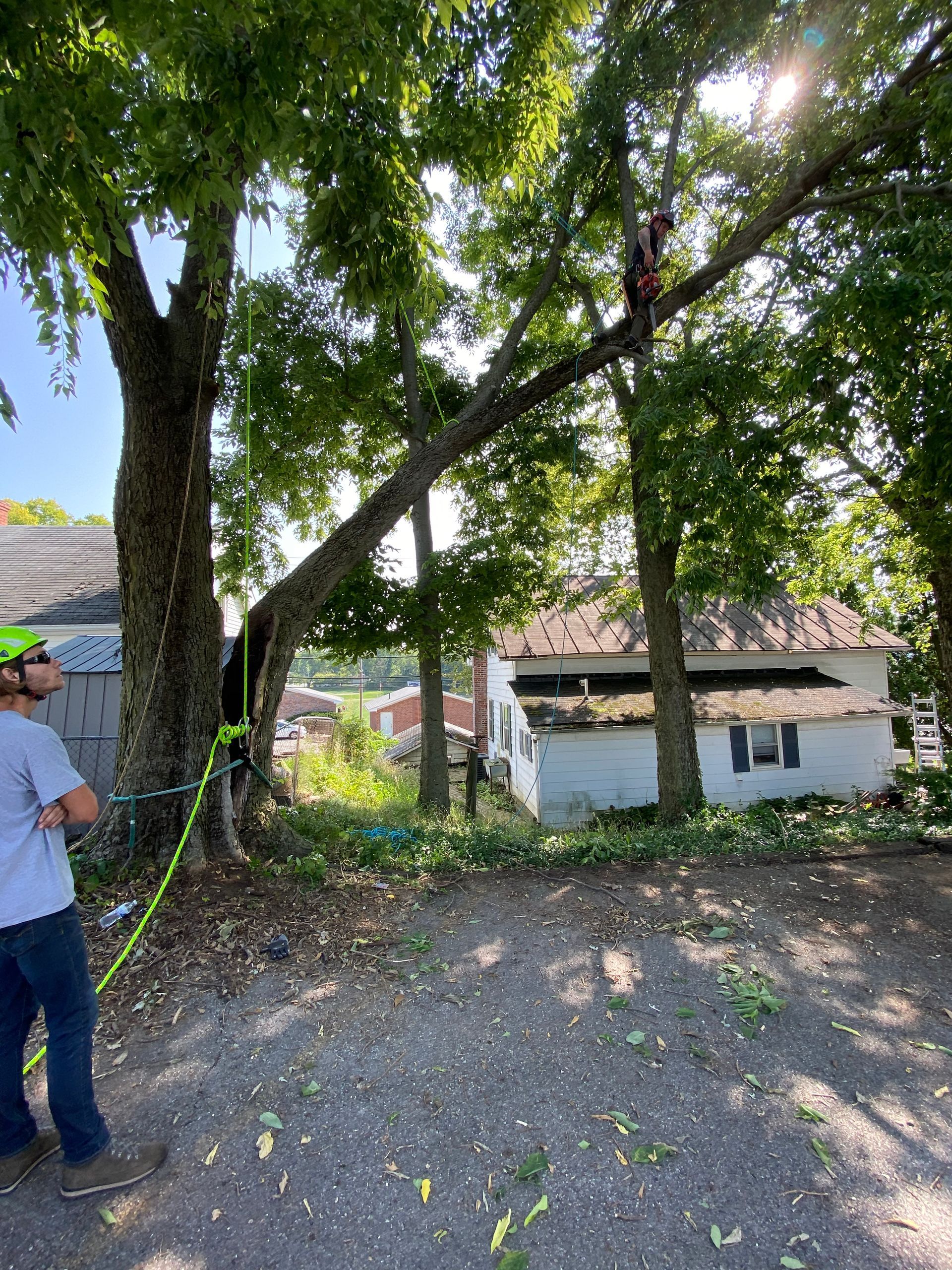 A man is standing next to a tree that has fallen on a house.