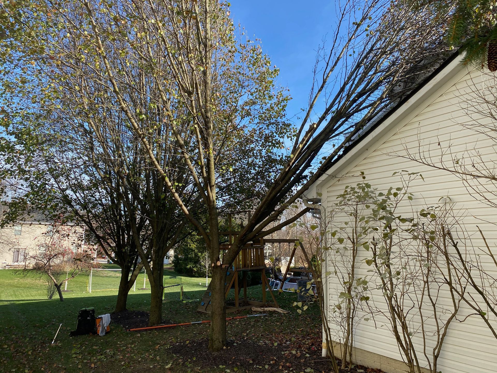 A tree has fallen on the roof of a house.