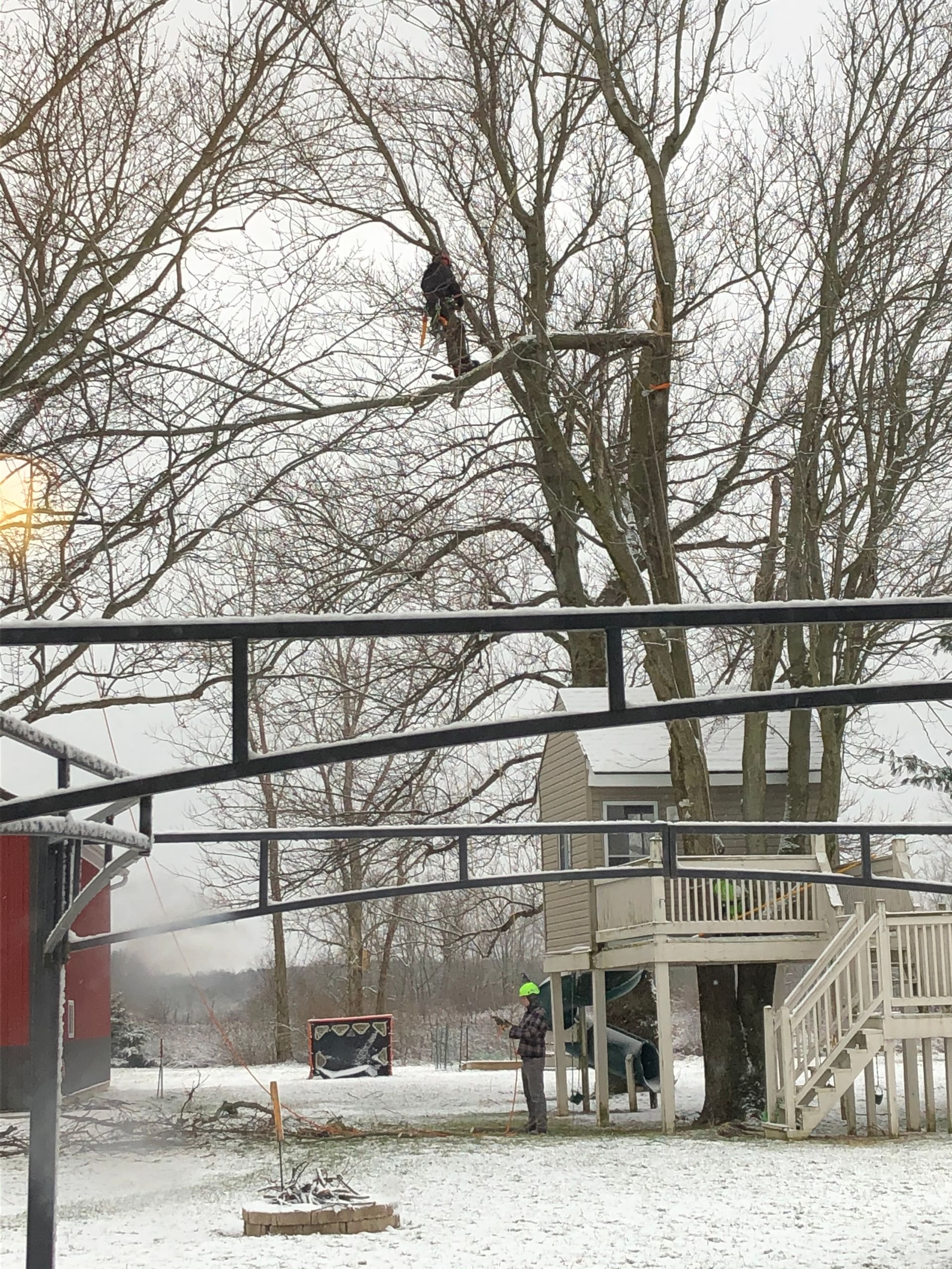 A person is standing on top of a tree in the snow.