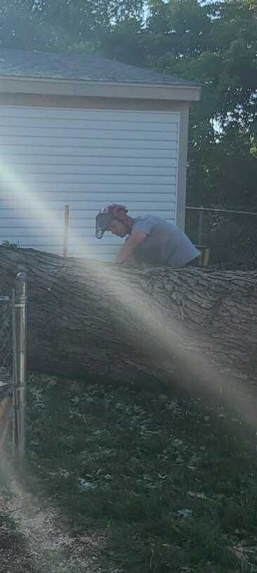 A man is cutting a tree with a chainsaw in front of a house.
