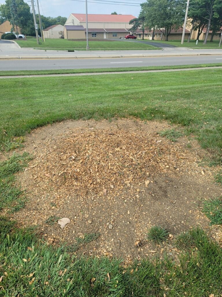 A tree stump in the middle of a lush green field.