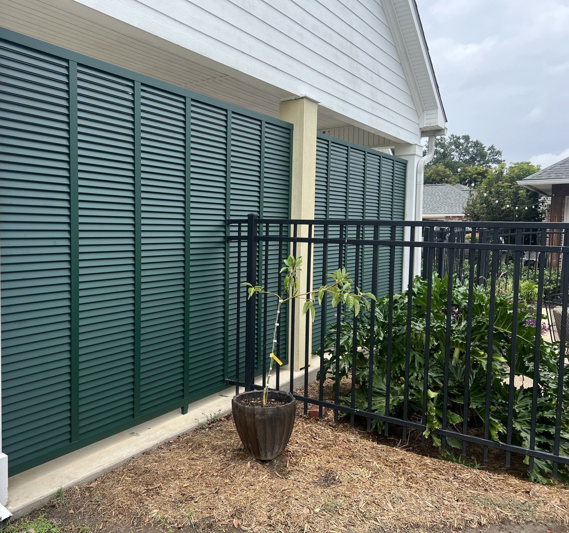 A potted plant is sitting in front of a green shuttered garage door.
