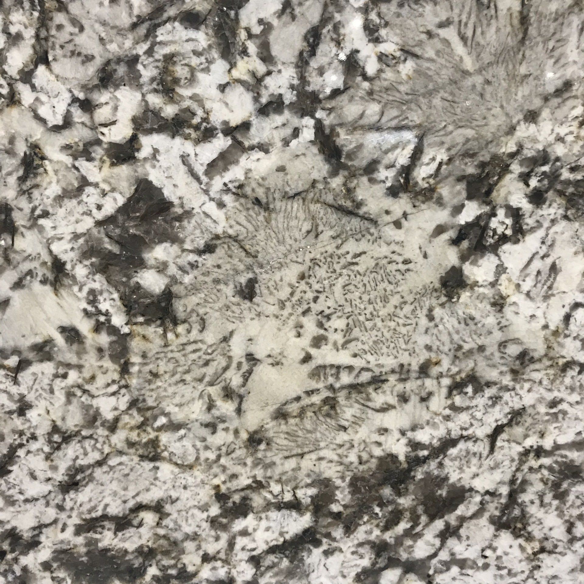 Bianco Antico Granite