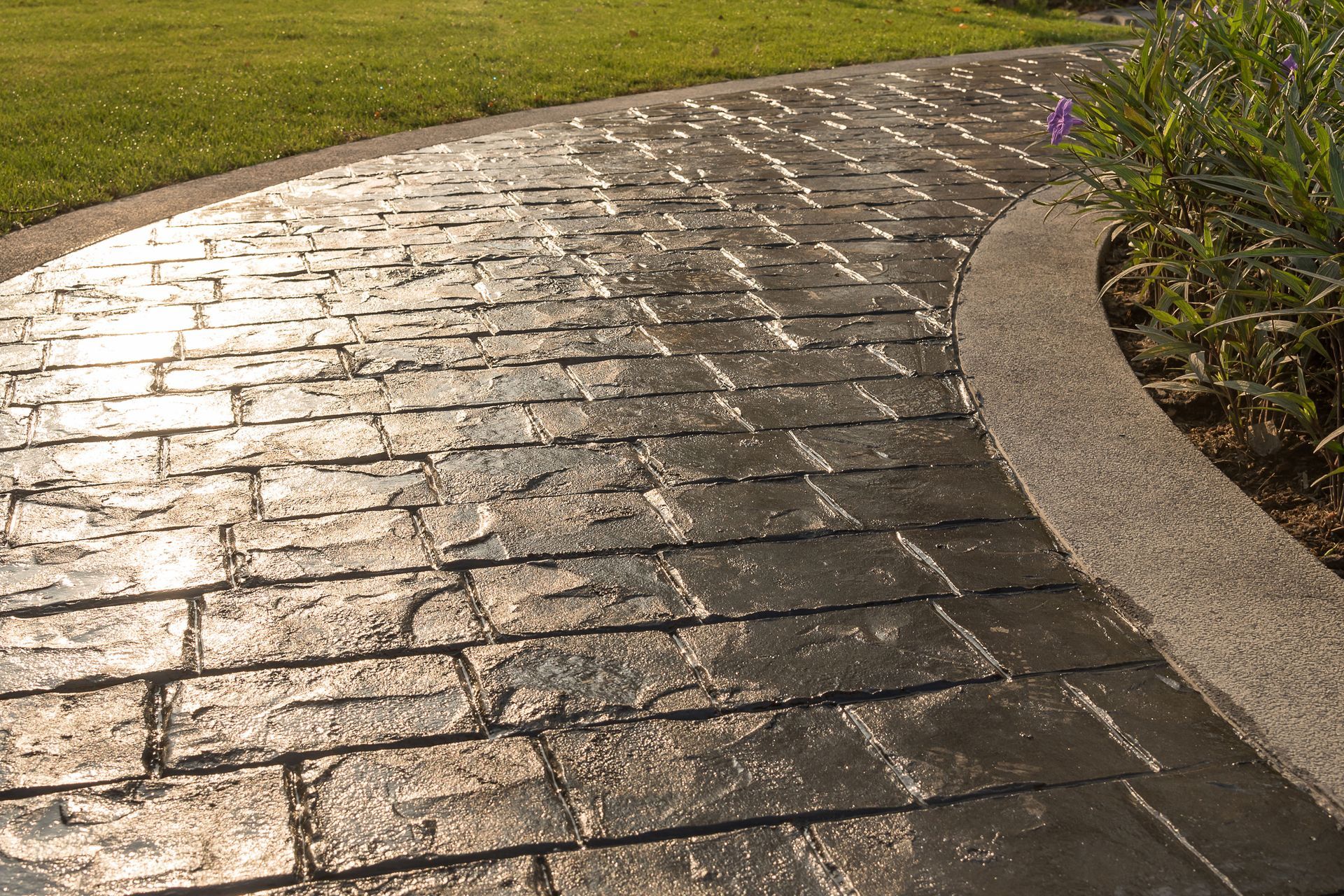Curved wet stone walkway beside grass and shrubs, reflecting sunlight.