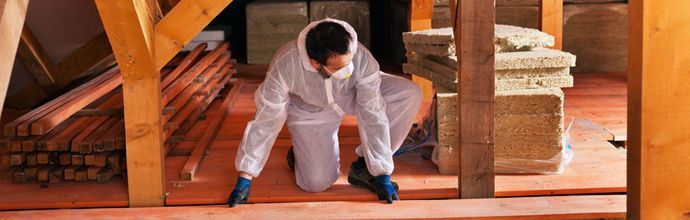 Attic insulation