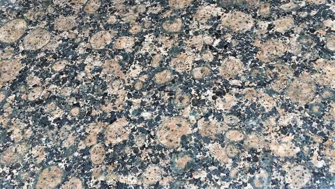 A close up of a granite counter top with a floral pattern.