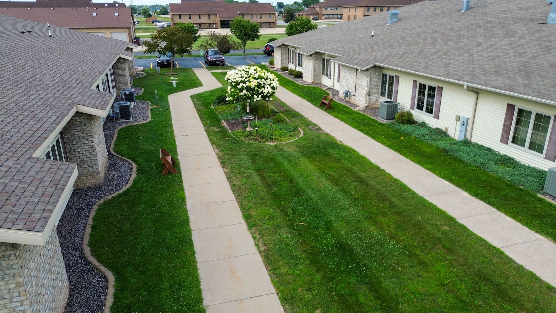 Aerial view of residential area with lawns, sidewalks, and a central tree with white flowers.