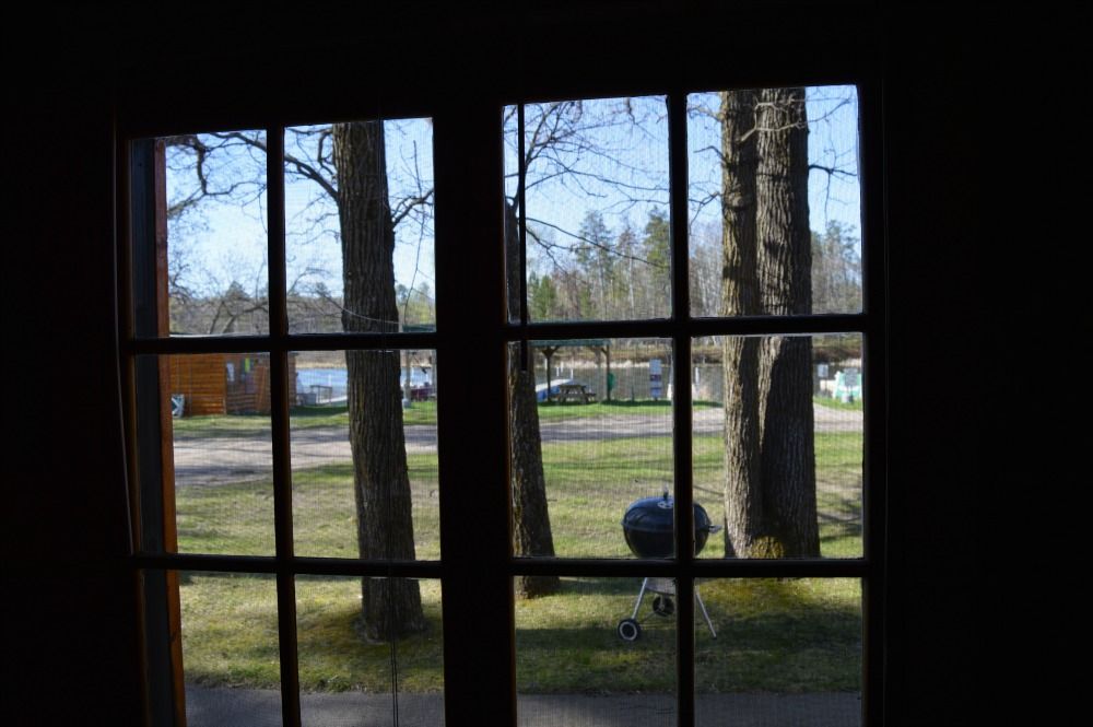 a window with a view of trees and a grill