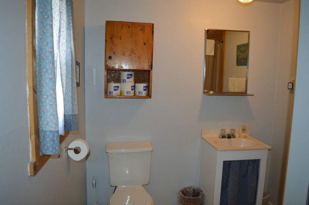 a bathroom with a toilet, sink and mirror