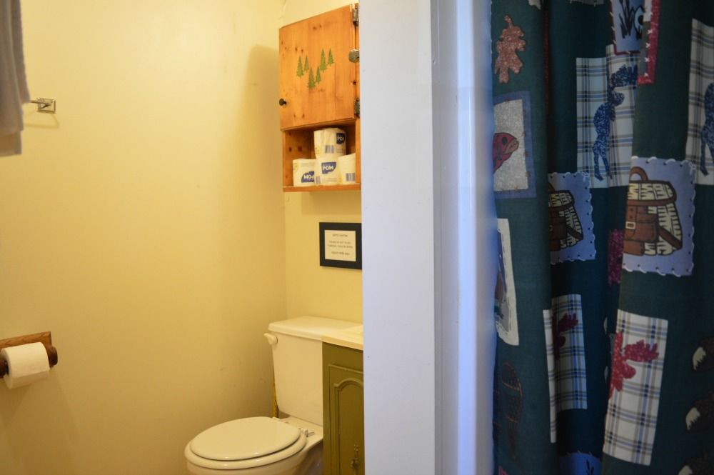 a bathroom with a toilet and a shower curtain