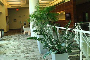 Interior Plantscaping Services