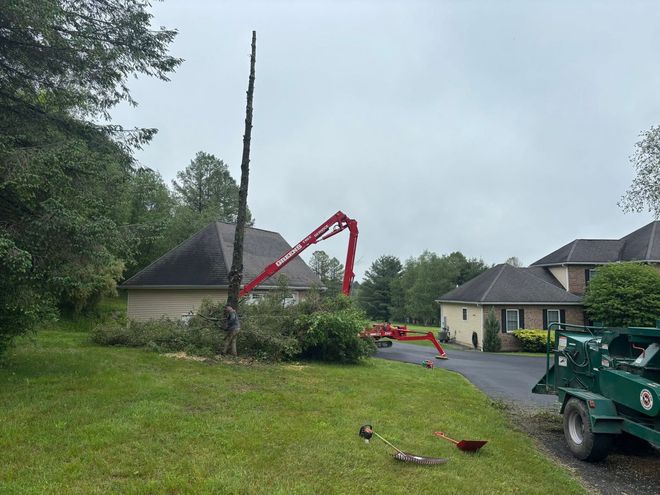 Tree being cut down by a crane next to a house on a cloudy day.