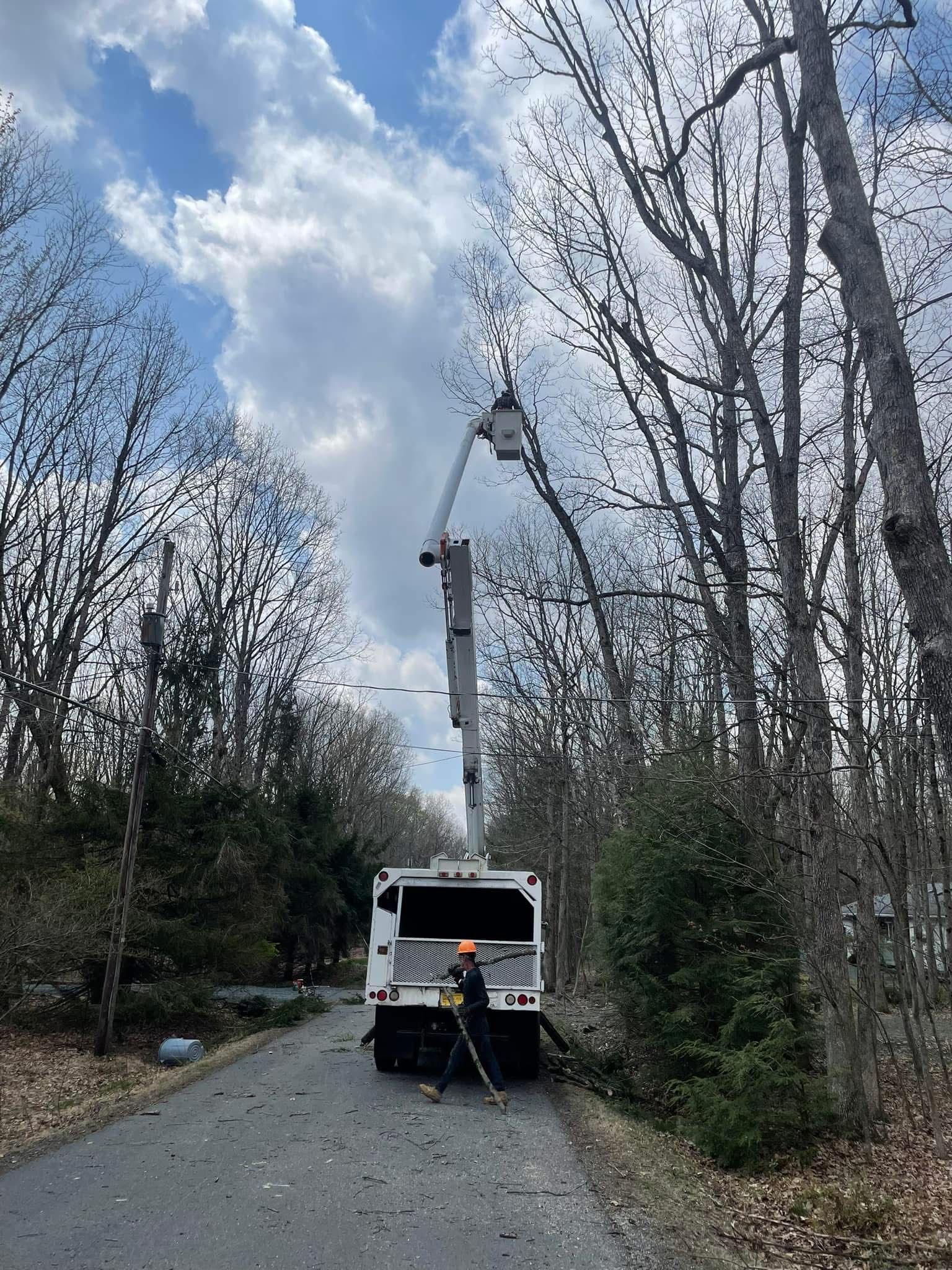 A tree service truck with an extended arm trims a tree on a path lined by trees.