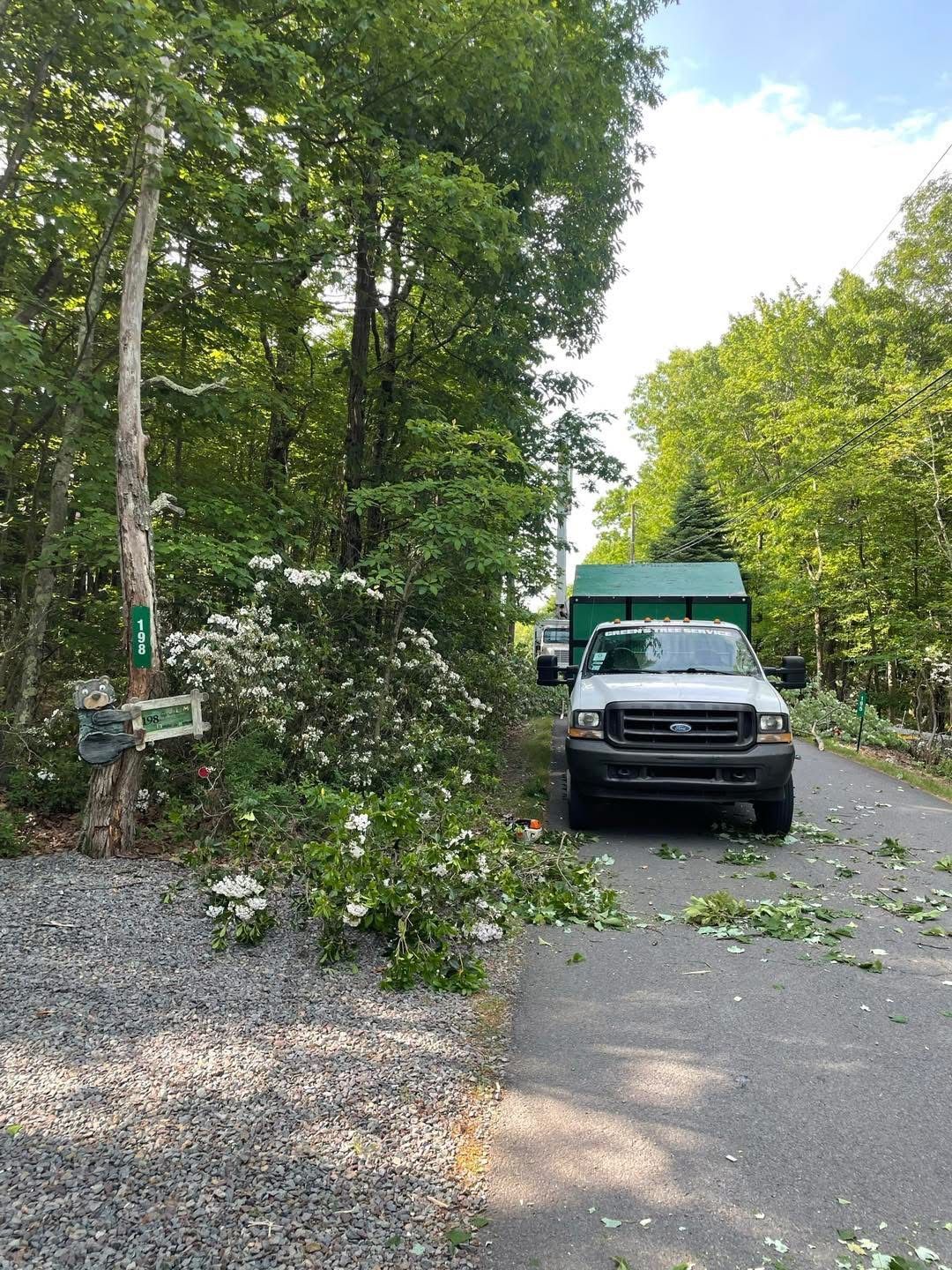 White truck parked on a driveway with cut branches and a green trailer in a wooded area.