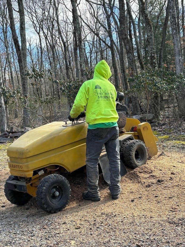 Person in neon hoodie operating a yellow stump grinder outdoors, surrounded by wood chips and trees.