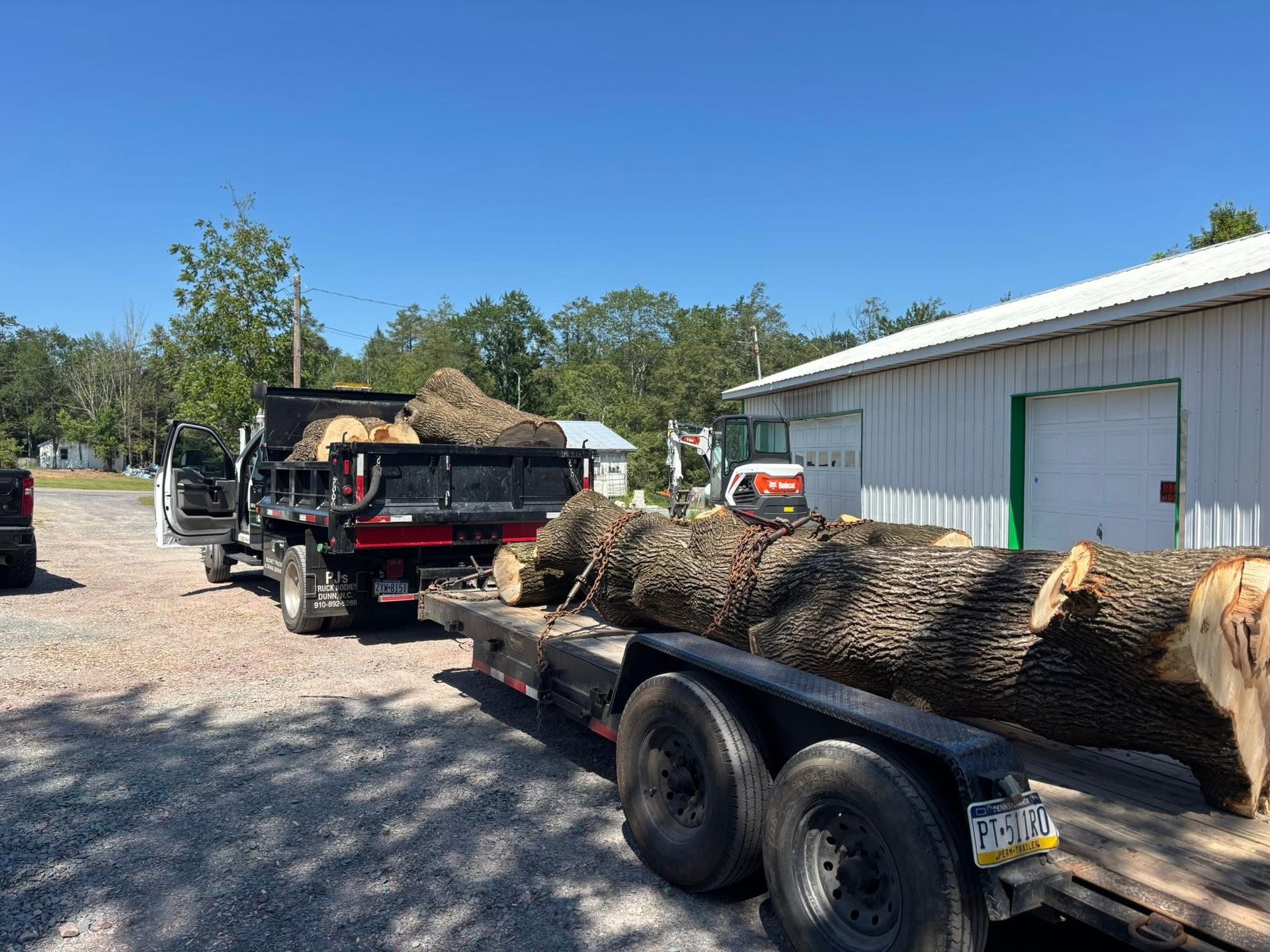 A truck and trailer loaded with large tree logs on a sunny day.