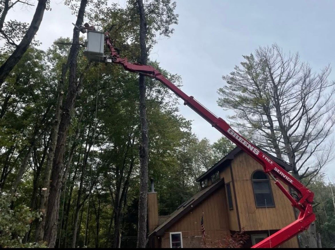 A tree service worker in a lift basket is trimming a tall tree next to a house.