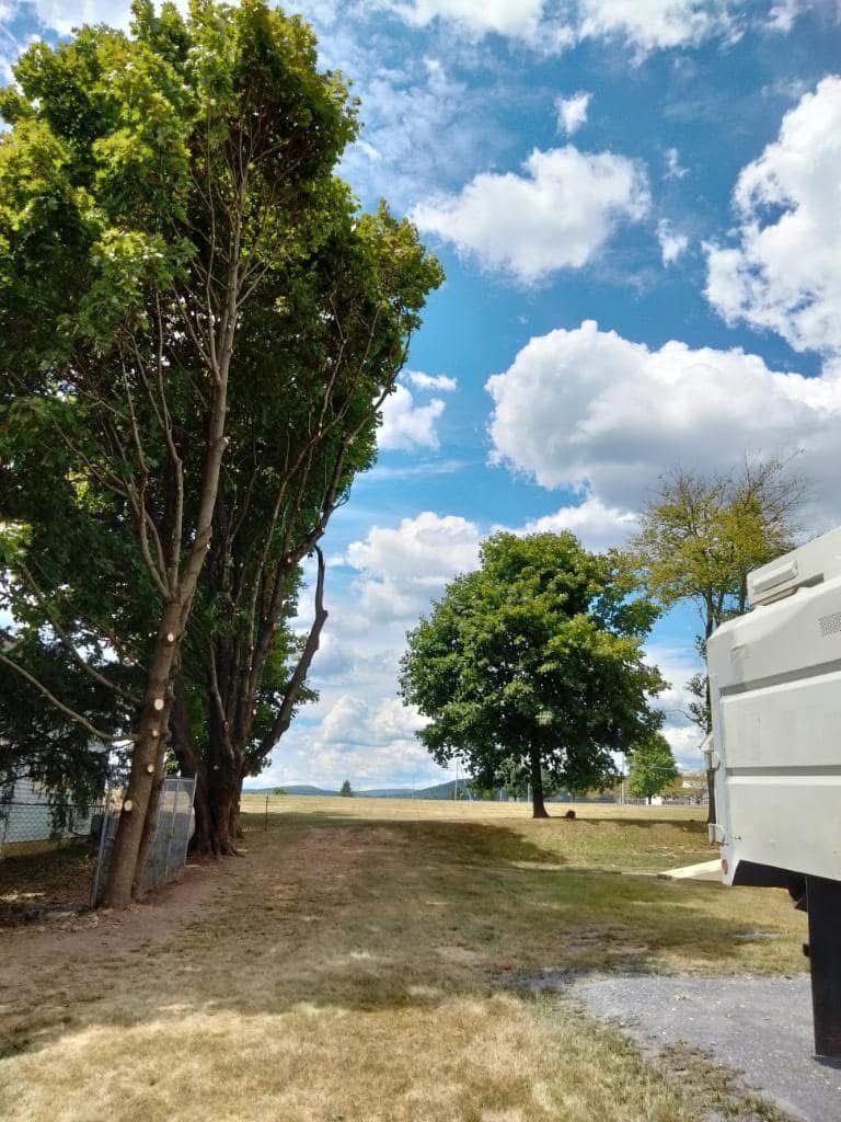 Trees line a grassy field under a partly cloudy blue sky.