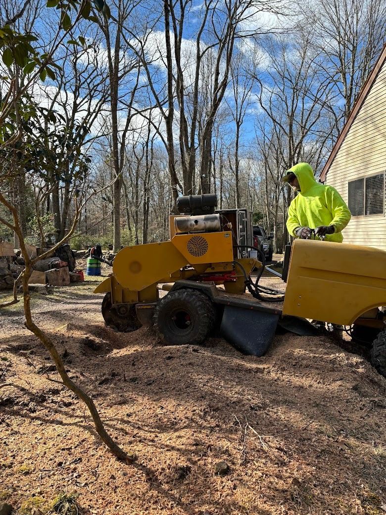 A person operating a yellow stump grinder in a wooded area near a house.
