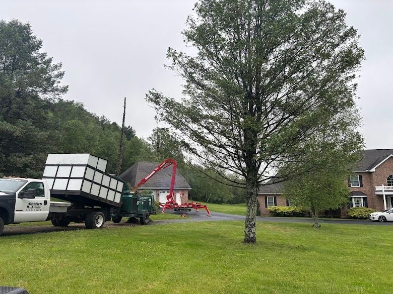 A tree removal service truck with a crane and a filled debris container in front of a house.