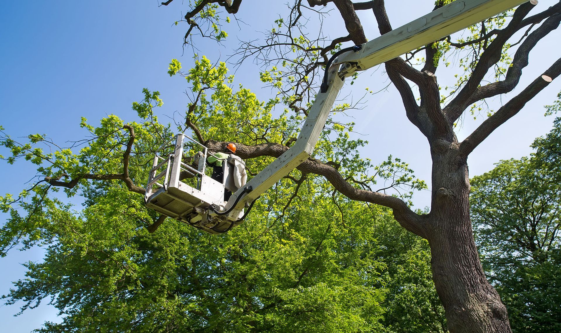 A worker in an aerial lift trims a utility pole with a power tool, blue sky background.