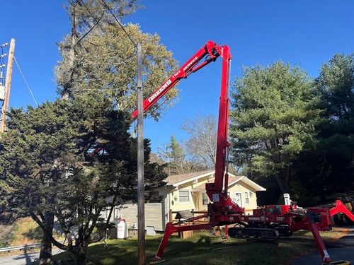 Greens Tree Service