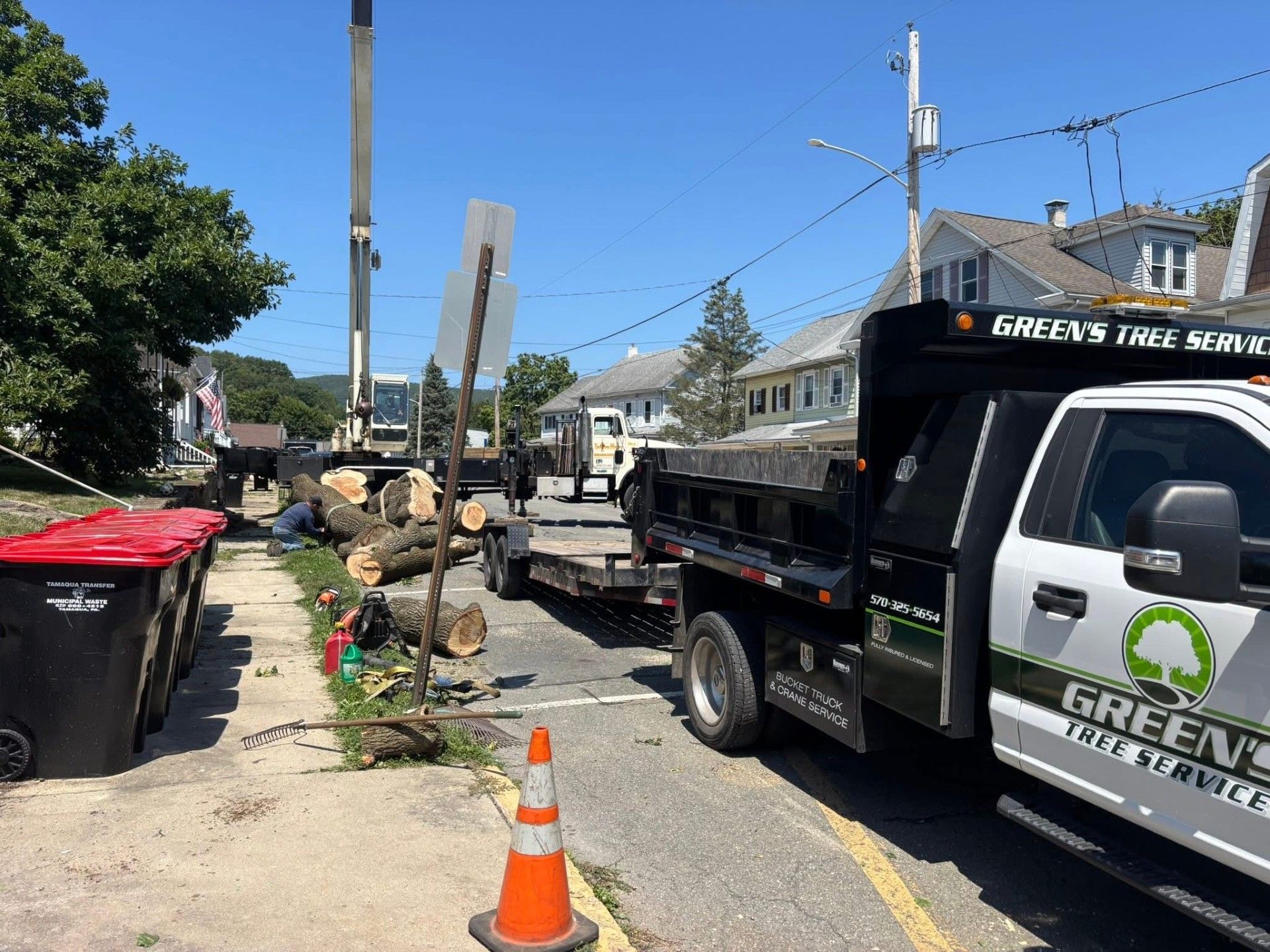 Tree service removing large tree sections from a sidewalk with truck, crane, and debris. Bright, sunny day.