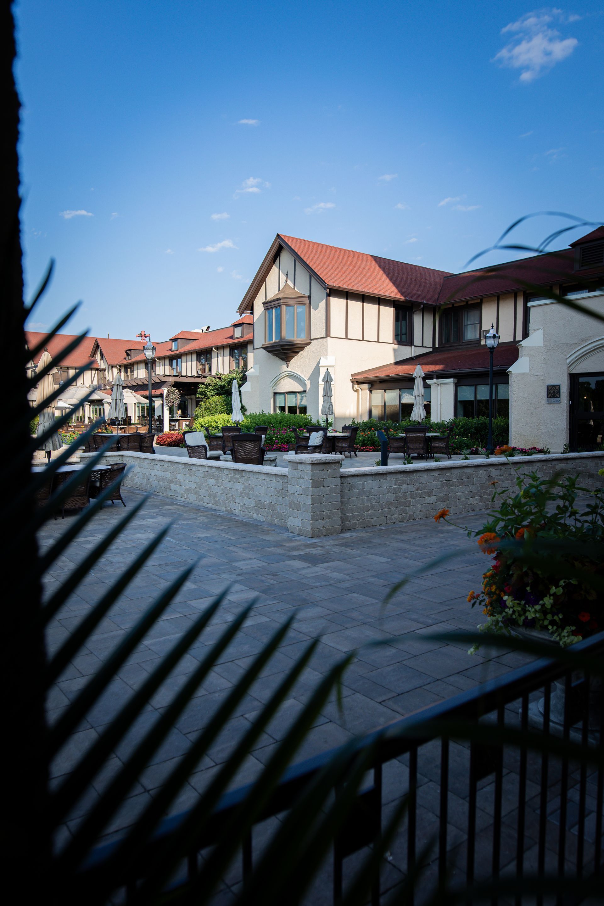 A view of a hotel from a balcony with a palm tree in the foreground.