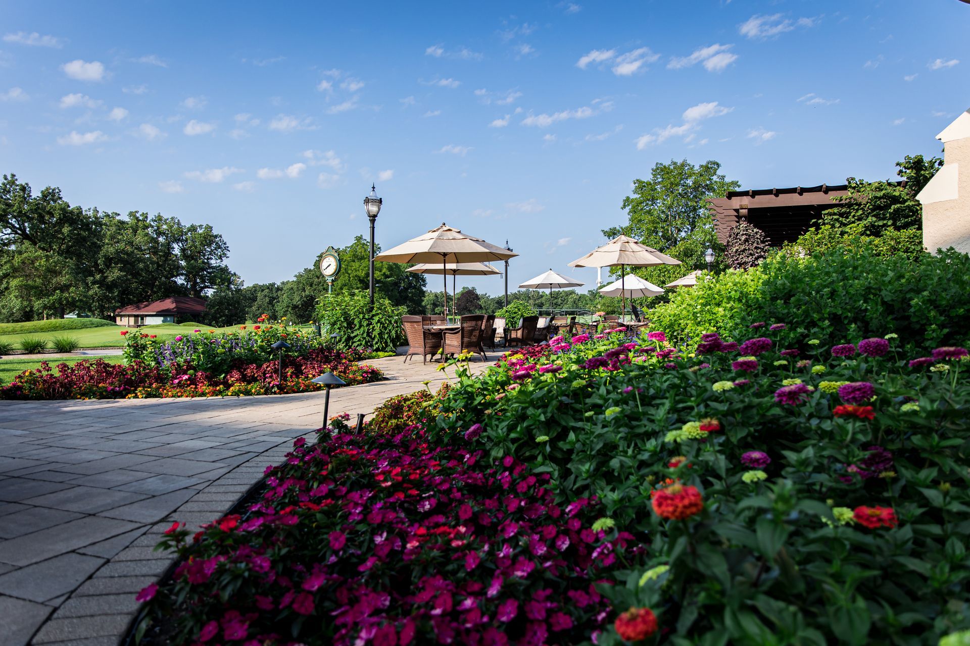 A garden with lots of flowers and umbrellas on a sunny day