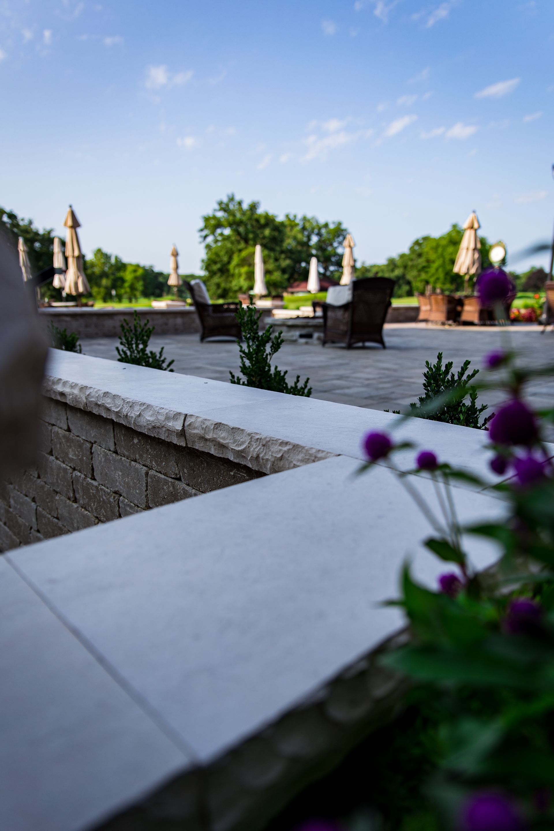 A patio with chairs and umbrellas and purple flowers in the foreground.