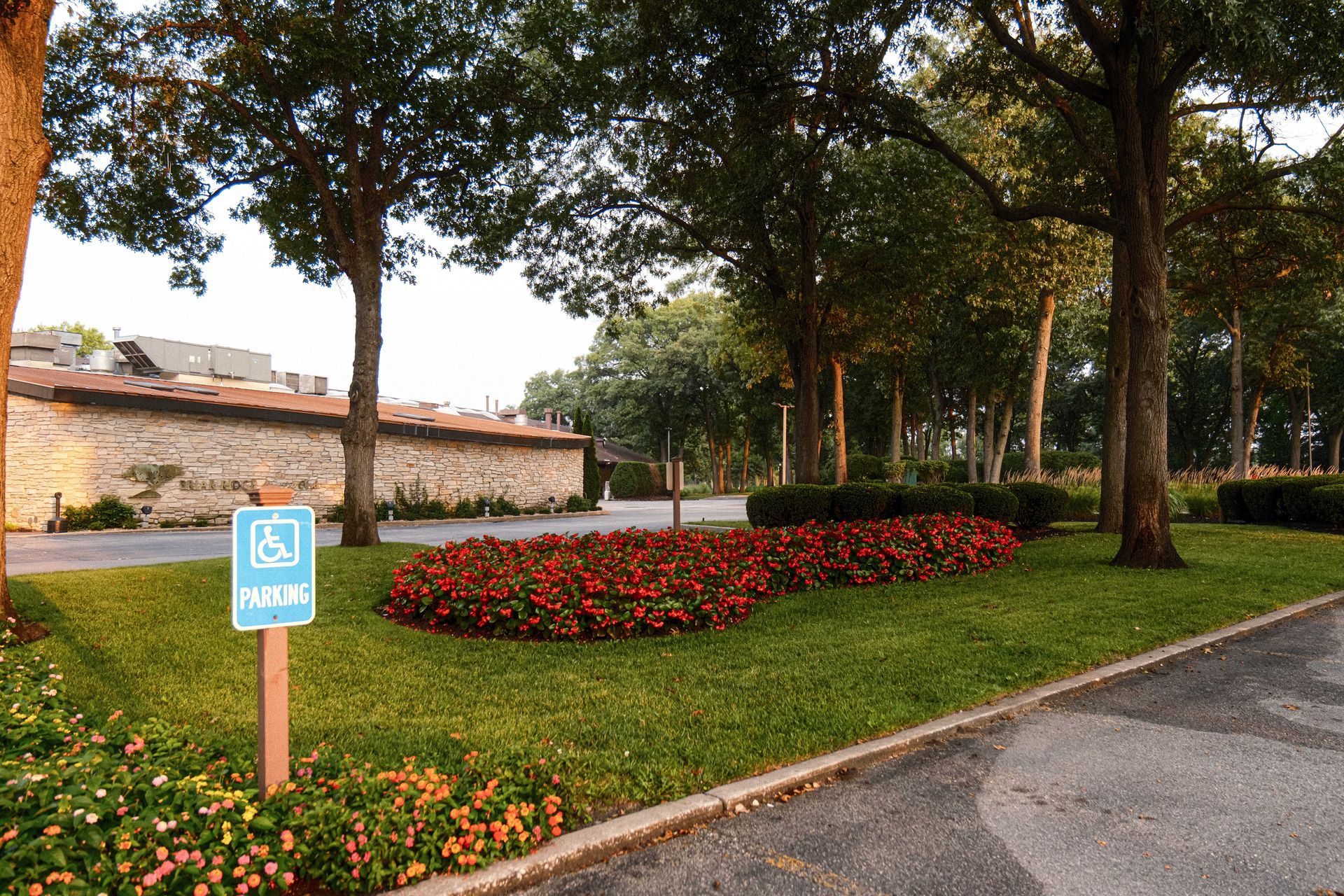 A handicapped parking sign is in the middle of a park