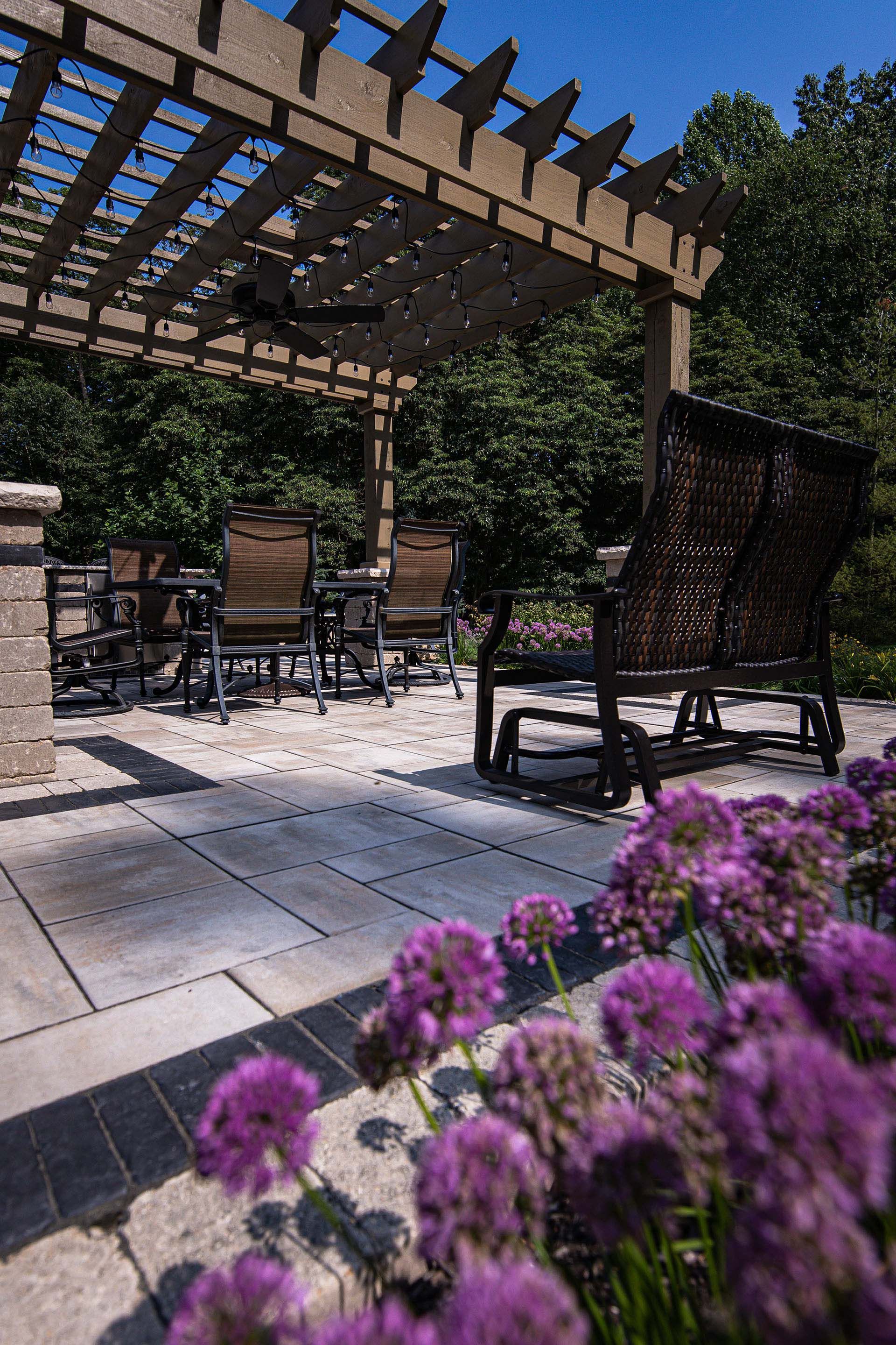 There are purple flowers in the foreground and a pergola in the background.