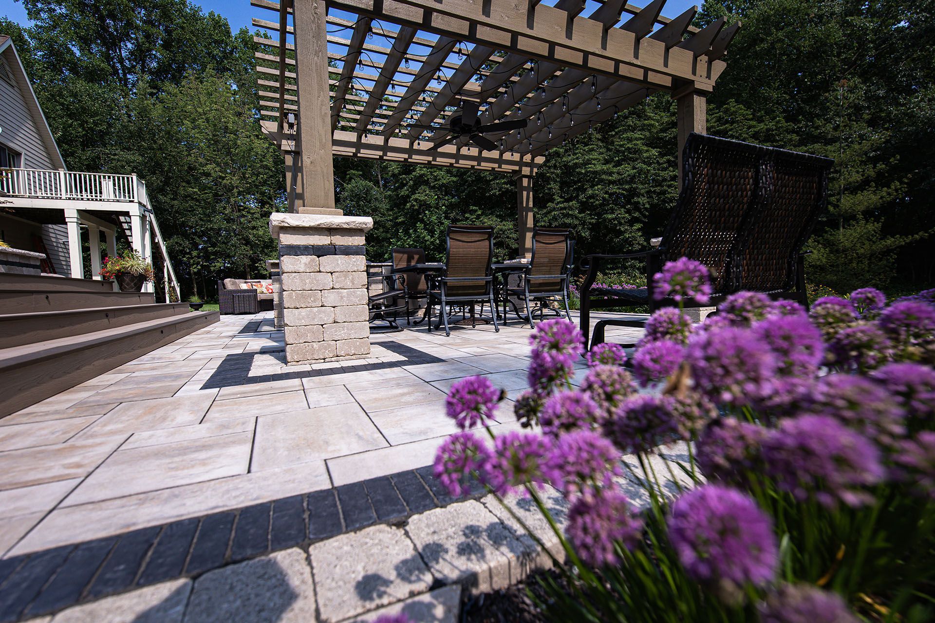 There are purple flowers in the foreground and a pergola in the background.