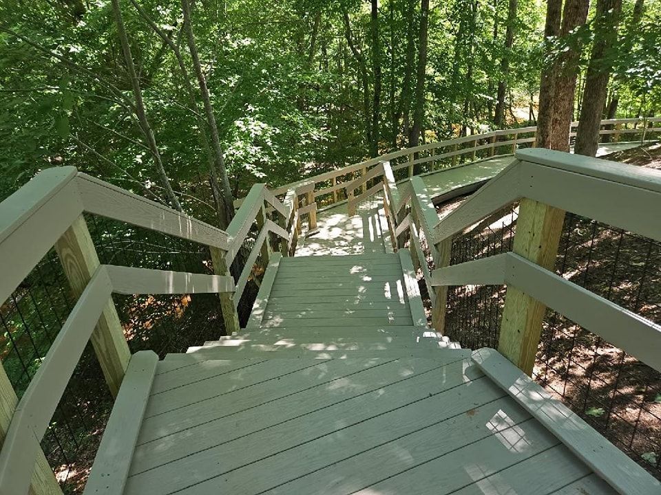 Wooden staircase leading down into a forest with railing and surrounding trees.